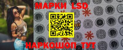 крисы Кунгур