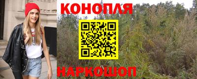 крисы Кунгур