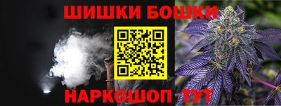 крисы Кунгур