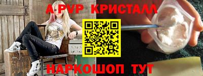 крисы Кунгур