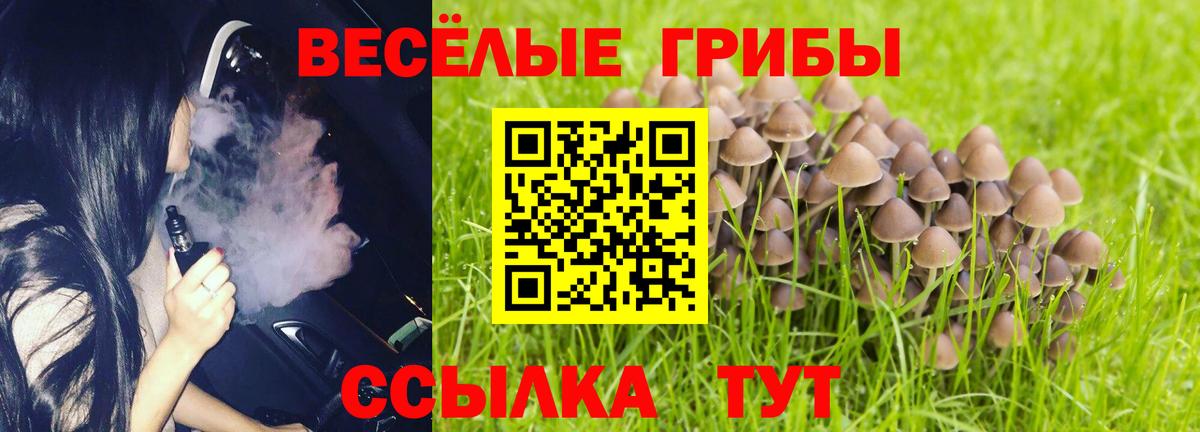 Псилоцибиновые грибы GOLDEN TEACHER  Вход с VPN  Зеленокумск  Галлюциногенные грибы Psilocybe 